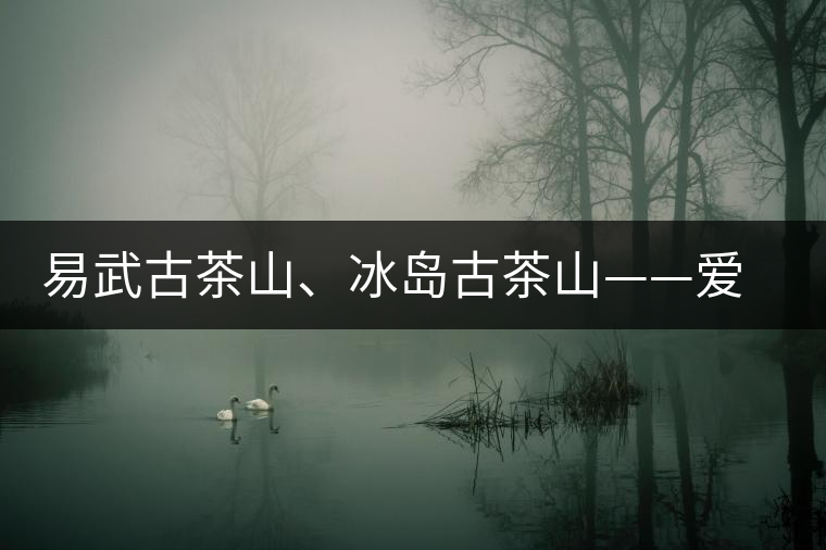 易武古茶山、冰島古茶山——愛茶人的旅游選擇
