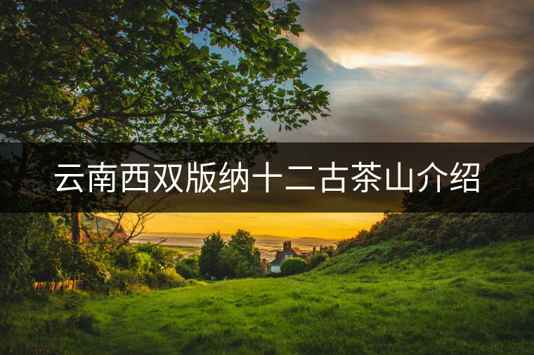 云南西雙版納十二古茶山介紹 云南西雙版納十二古茶山介紹
