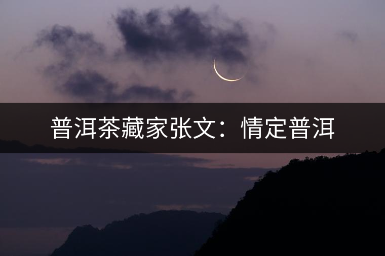 普洱茶藏家張文:情定普洱 普洱茶藏家張文:情定普洱