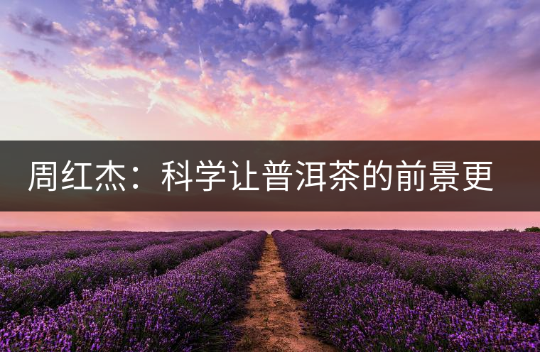 周紅杰:科學(xué)讓普洱茶的前景更明朗 周紅杰:科學(xué)讓普洱茶的前景更明朗