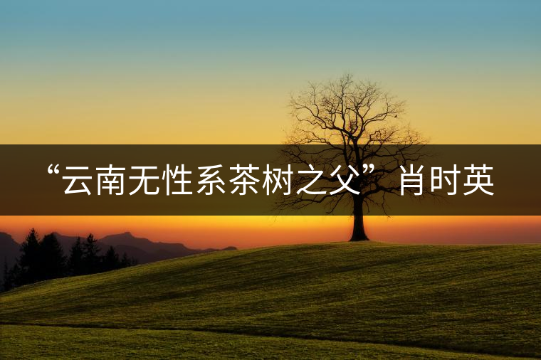 “云南無性系茶樹之父”肖時(shí)英—— 為了云茶根深葉茂