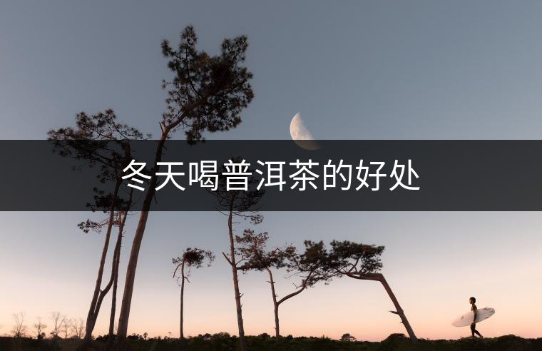 冬天喝普洱茶的好處 冬天喝普洱茶的好處