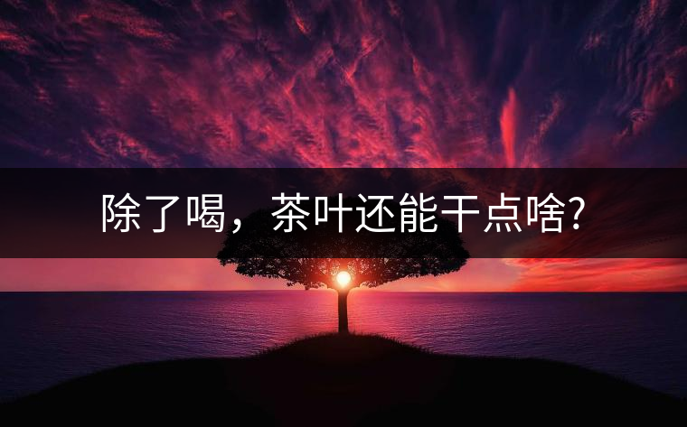 除了喝,茶葉還能干點啥? 除了喝,茶葉還能干點啥?