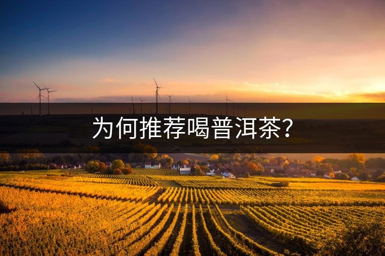 為何推薦喝普洱茶？