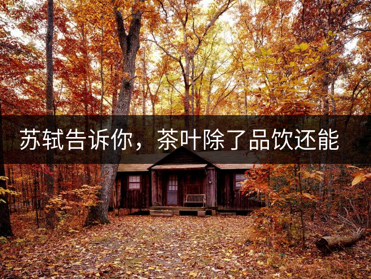 蘇軾告訴你，茶葉除了品飲還能做什么？