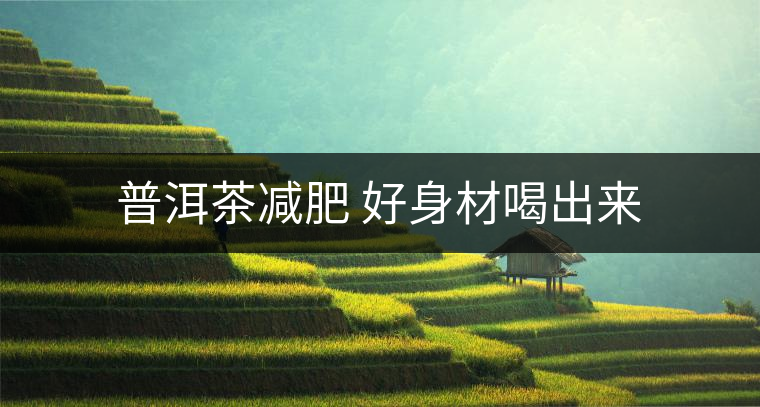 普洱茶減肥 好身材喝出來(lái) 普洱茶減肥 好身材喝出來(lái)