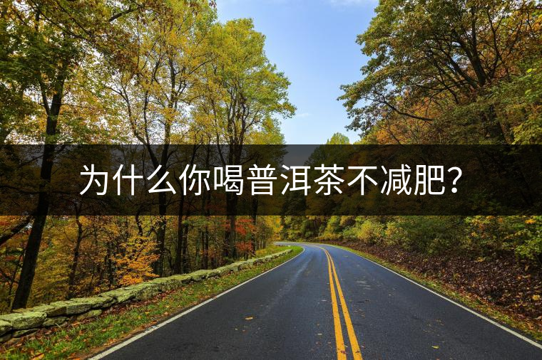 為什么你喝普洱茶不減肥？