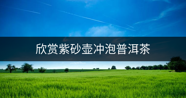 欣賞紫砂壺沖泡普洱茶 欣賞紫砂壺沖泡普洱茶