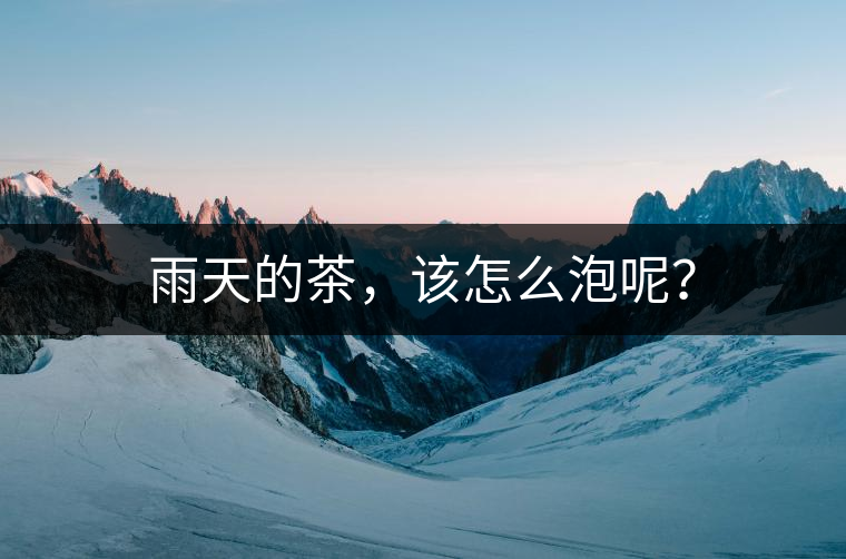 雨天的茶，該怎么泡呢？