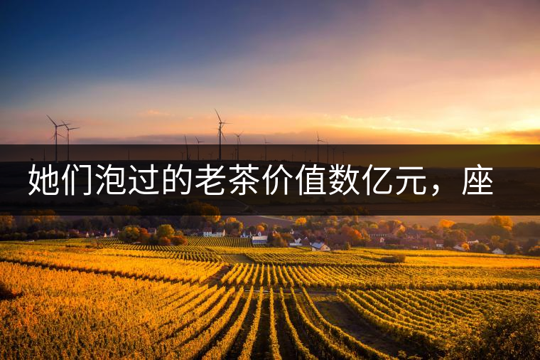 她們泡過的老茶價(jià)值數(shù)億元，座上賓是余秋雨、李云迪……