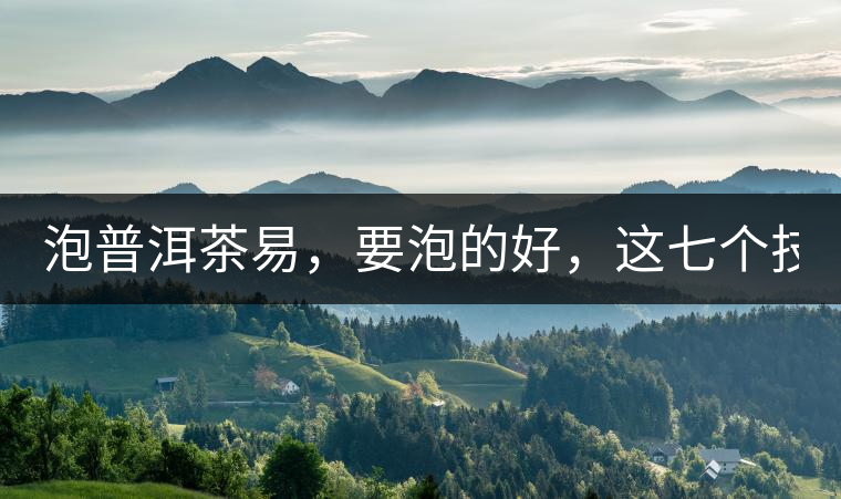 泡普洱茶易，要泡的好，這七個(gè)技巧很重要！