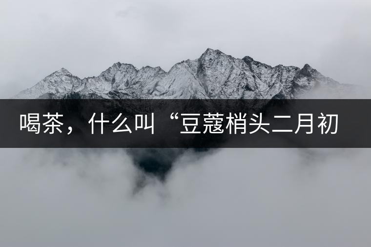 喝茶，什么叫“豆蔻梢頭二月初”？