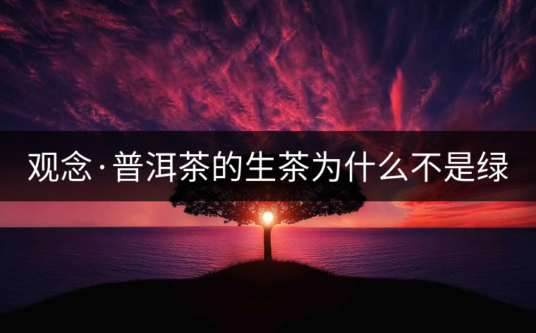 觀念·普洱茶的生茶為什么不是綠茶？