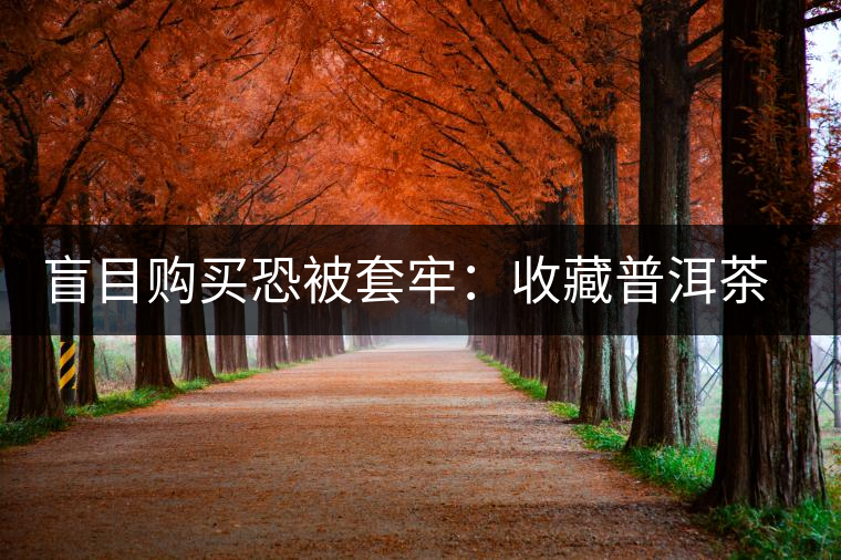 盲目購(gòu)買(mǎi)恐被套牢：收藏普洱茶首先得好喝