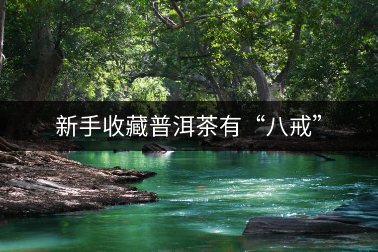 新手收藏普洱茶有“八戒” 新手收藏普洱茶有“八戒”