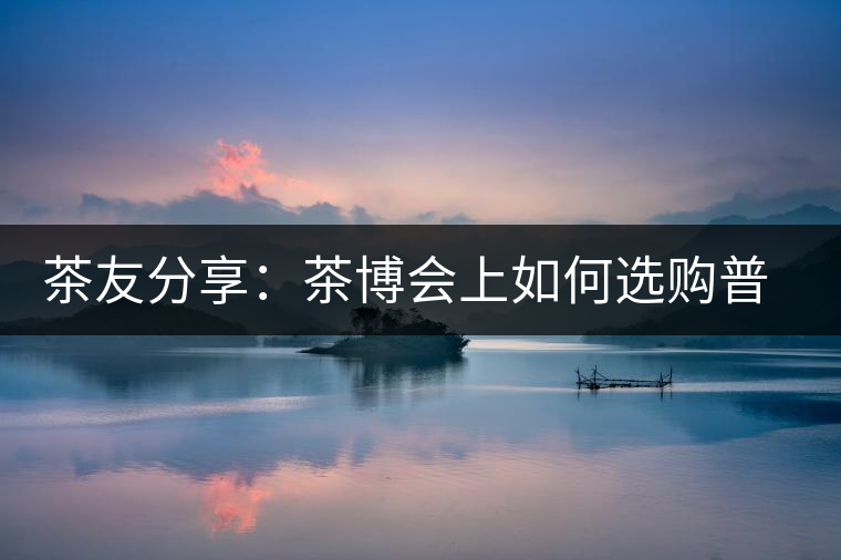 茶友分享：茶博會上如何選購普洱茶？