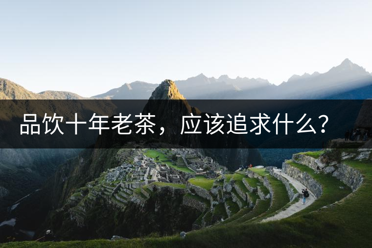 品飲十年老茶，應(yīng)該追求什么？滋味還是故事？