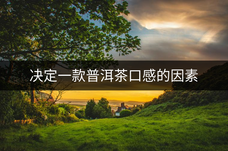 決定一款普洱茶口感的因素