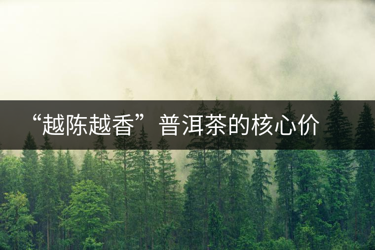 “越陳越香”普洱茶的核心價(jià)值 “越陳越香”普洱茶的核心價(jià)值