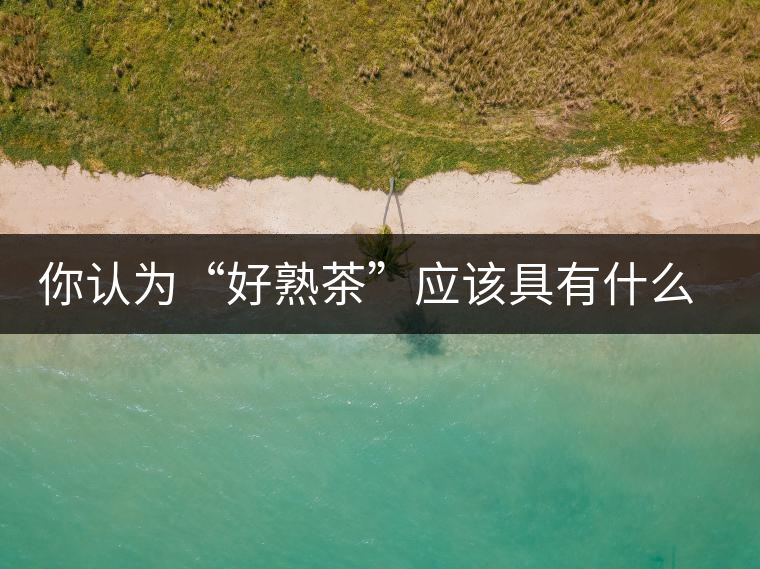 你認(rèn)為“好熟茶”應(yīng)該具有什么樣的標(biāo)準(zhǔn)？