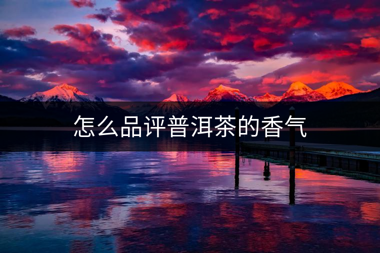 怎么品評(píng)普洱茶的香氣