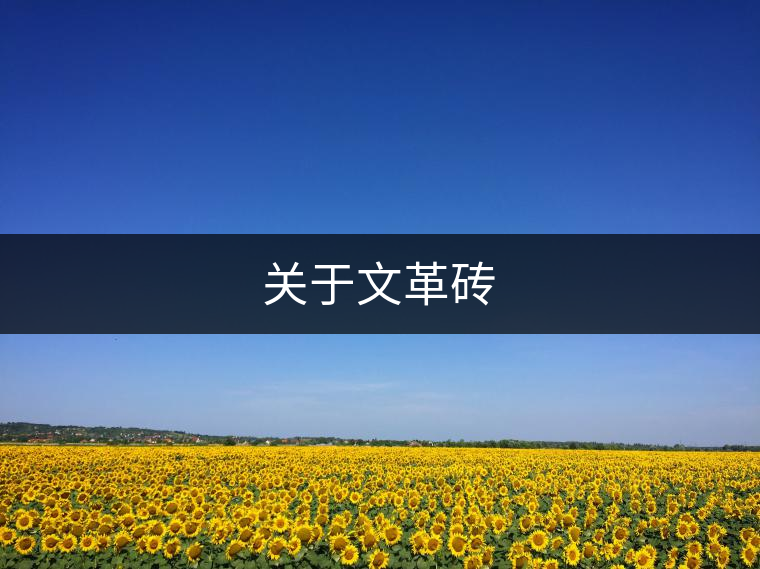 關于文革磚 關于文革磚