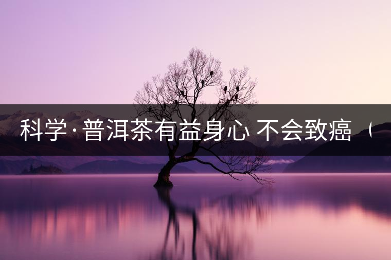 科學(xué)·普洱茶有益身心 不會(huì)致癌(2) 科學(xué)·普洱茶有益身心 不會(huì)致癌(2)