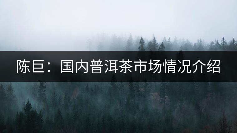 陳巨:國內(nèi)普洱茶市場情況介紹 陳巨:國內(nèi)普洱茶市場情況介紹