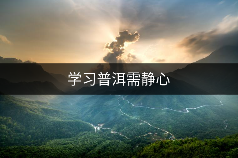 學(xué)習(xí)普洱需靜心 學(xué)習(xí)普洱需靜心