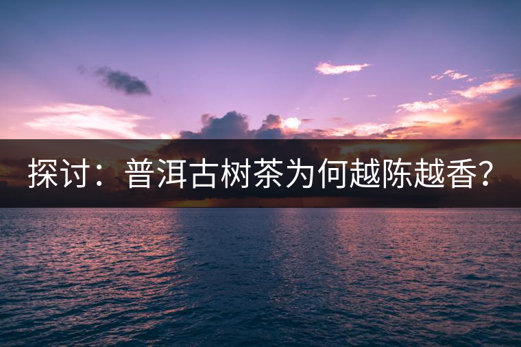 探討：普洱古樹茶為何越陳越香？