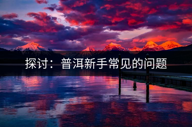 探討:普洱新手常見的問題 探討:普洱新手常見的問題