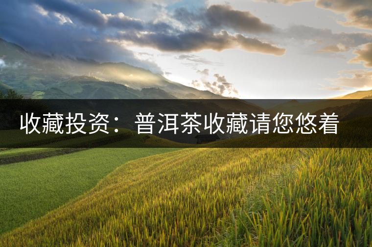 收藏投資:普洱茶收藏請您悠著點 收藏投資:普洱茶收藏請您悠著點