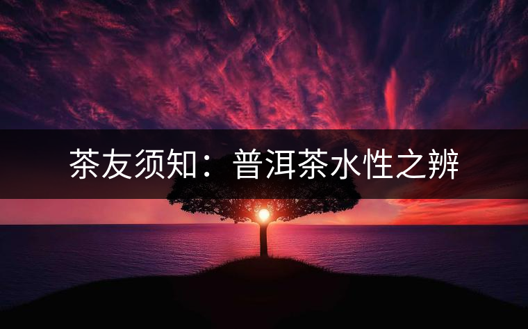 茶友須知:普洱茶水性之辨 茶友須知:普洱茶水性之辨