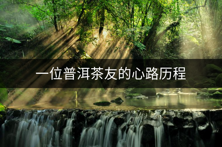 一位普洱茶友的心路歷程 一位普洱茶友的心路歷程
