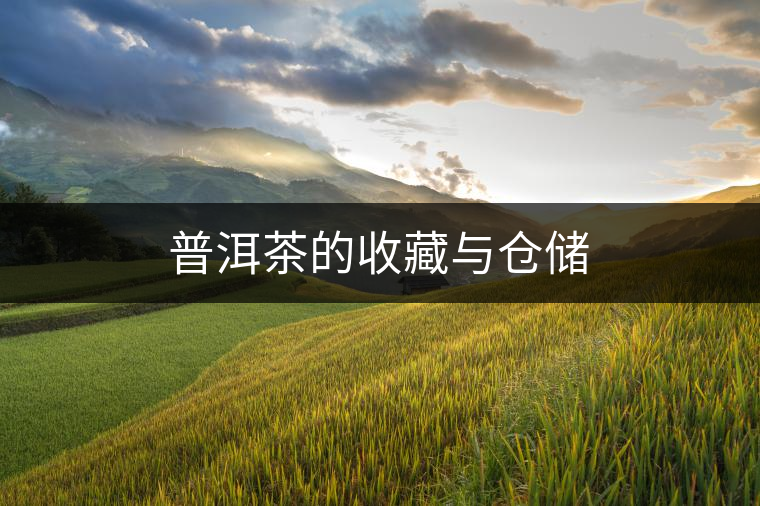 普洱茶的收藏與倉儲 普洱茶的收藏與倉儲