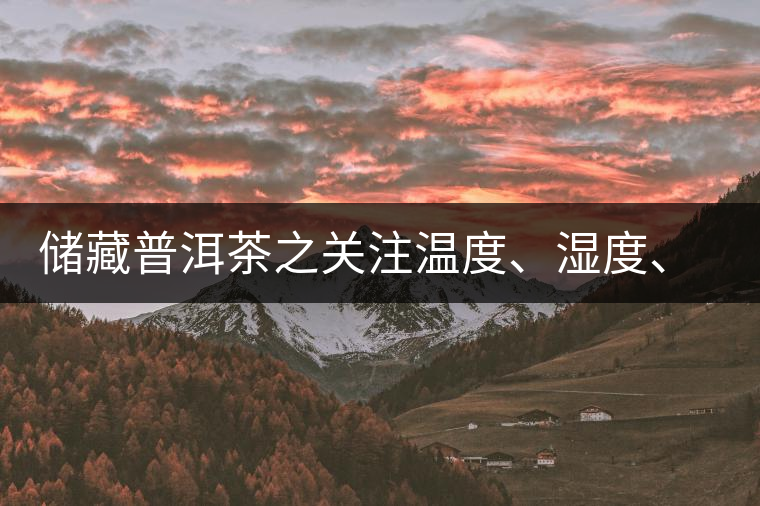 儲藏普洱茶之關注溫度、濕度、異味因素影響