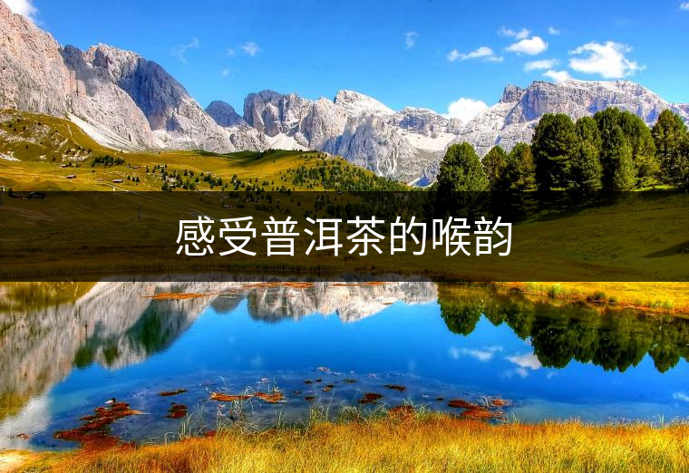 感受普洱茶的喉韻 感受普洱茶的喉韻