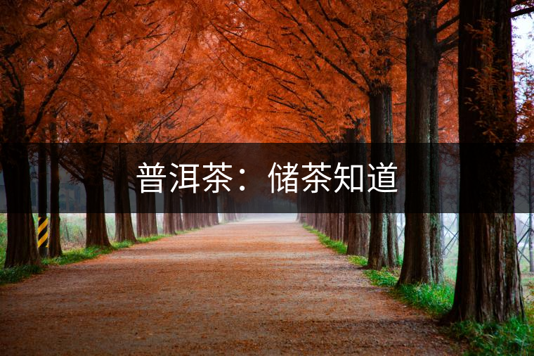 普洱茶:儲茶知道 普洱茶:儲茶知道