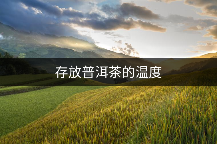 存放普洱茶的溫度 存放普洱茶的溫度