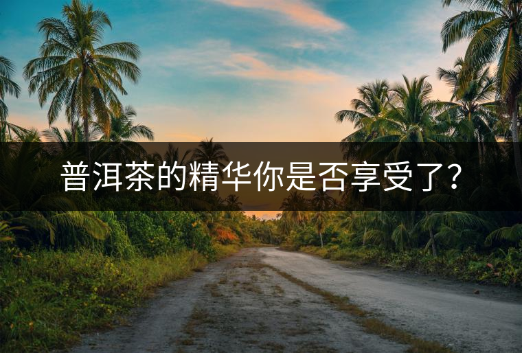 普洱茶的精華你是否享受了？
