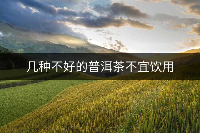 幾種不好的普洱茶不宜飲用 幾種不好的普洱茶不宜飲用