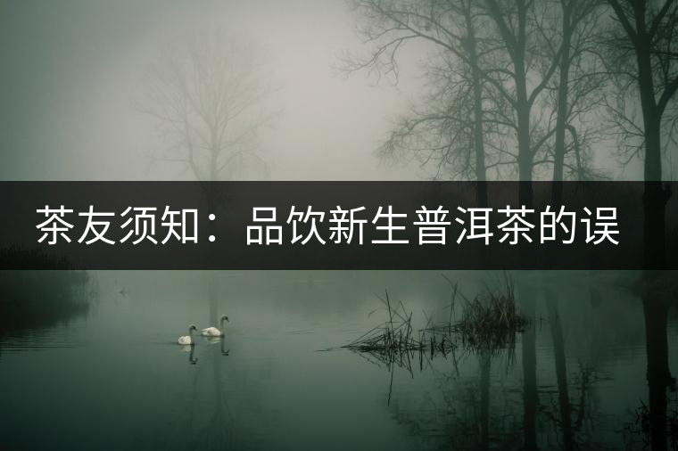 茶友須知:品飲新生普洱茶的誤區(qū) 茶友須知:品飲新生普洱茶的誤區(qū)