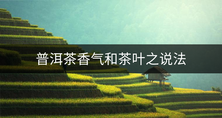 普洱茶香氣和茶葉之說法 普洱茶香氣和茶葉之說法