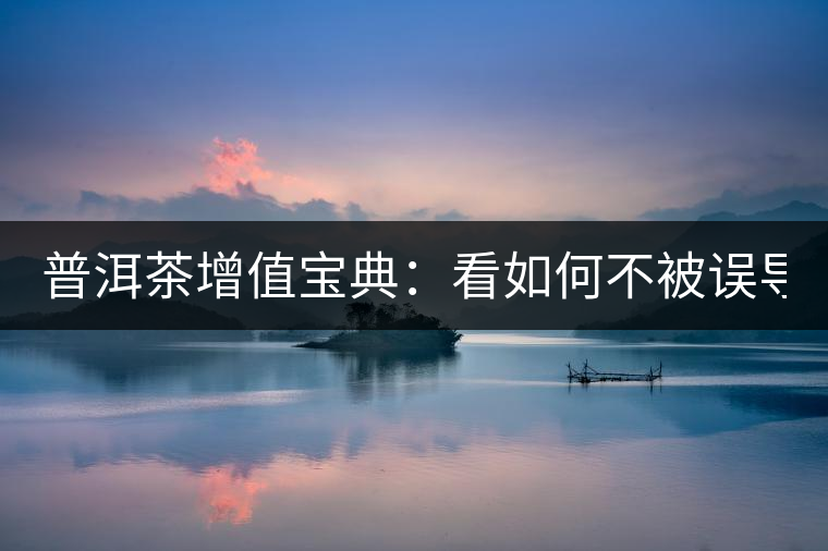 普洱茶增值寶典：看如何不被誤導(dǎo)？