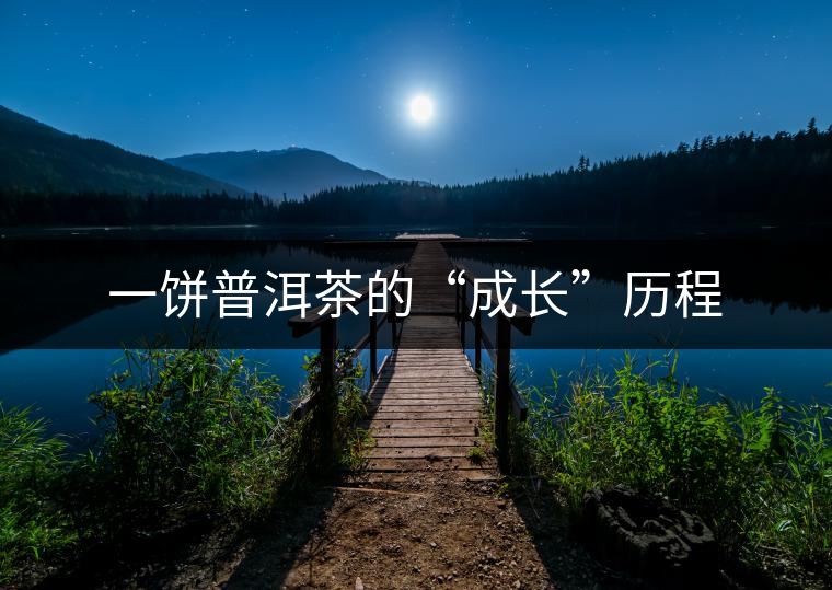 一餅普洱茶的“成長(zhǎng)”歷程 一餅普洱茶的“成長(zhǎng)”歷程