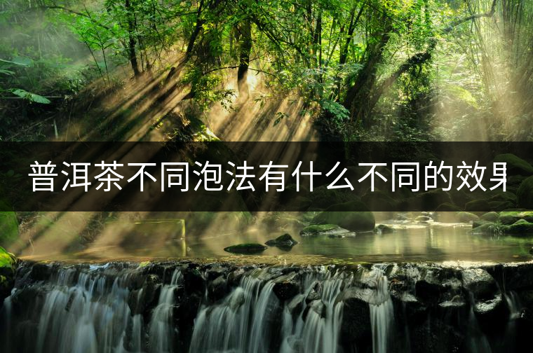 普洱茶不同泡法有什么不同的效果？