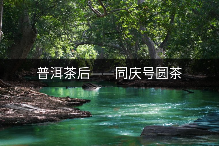 普洱茶后——同慶號圓茶 普洱茶后——同慶號圓茶