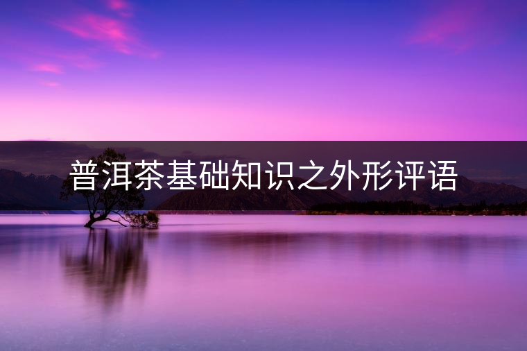 普洱茶基礎(chǔ)知識(shí)之外形評(píng)語 普洱茶基礎(chǔ)知識(shí)之外形評(píng)語