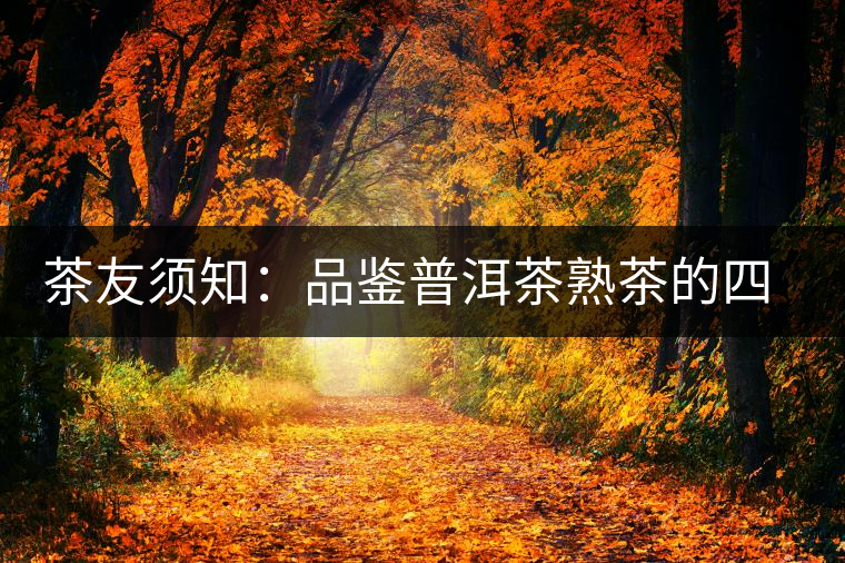 茶友須知：品鑒普洱茶熟茶的四個時間刻度