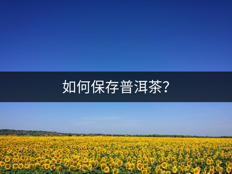 如何保存普洱茶？